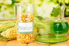 Huntspill biofuel availability